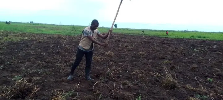 L'agent avec le hou en cultivant